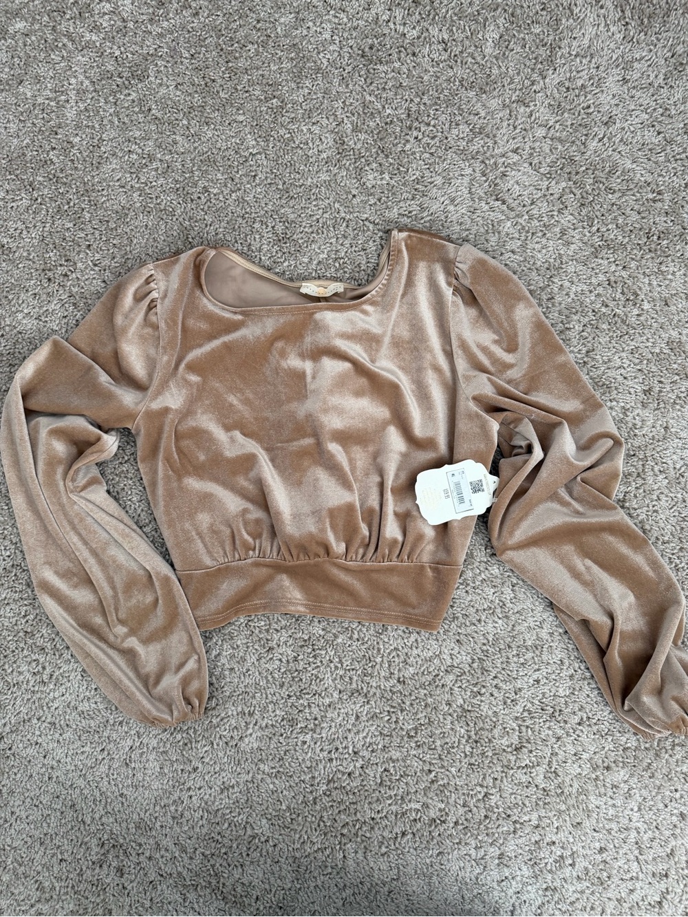 Chrysanthemum Altar'd State Velvet Tie Back Crop Top Small Taupe NWT